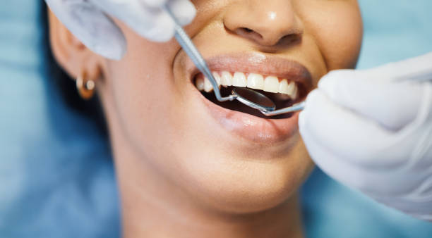 Our Range of Dental Services in Castle Pines Village, CO